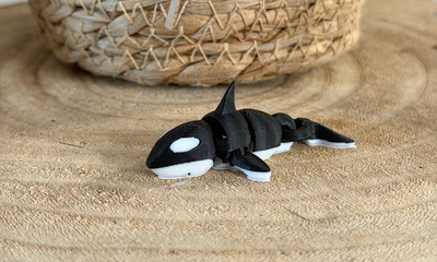 Orca Whale (2)