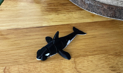 Orca Whale