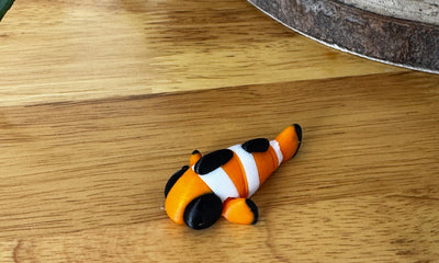Clown Fish