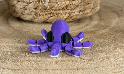 Octopus