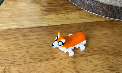 Corgi