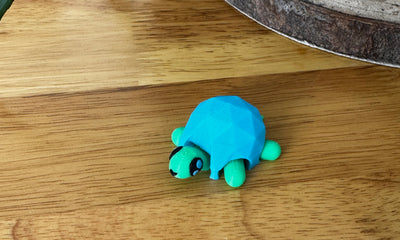 Cute Turtle