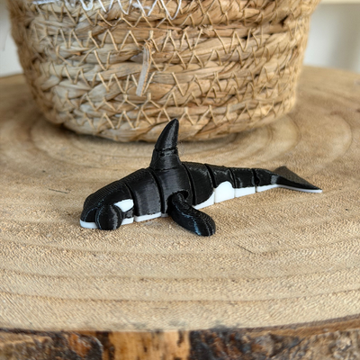 Orca Whale
